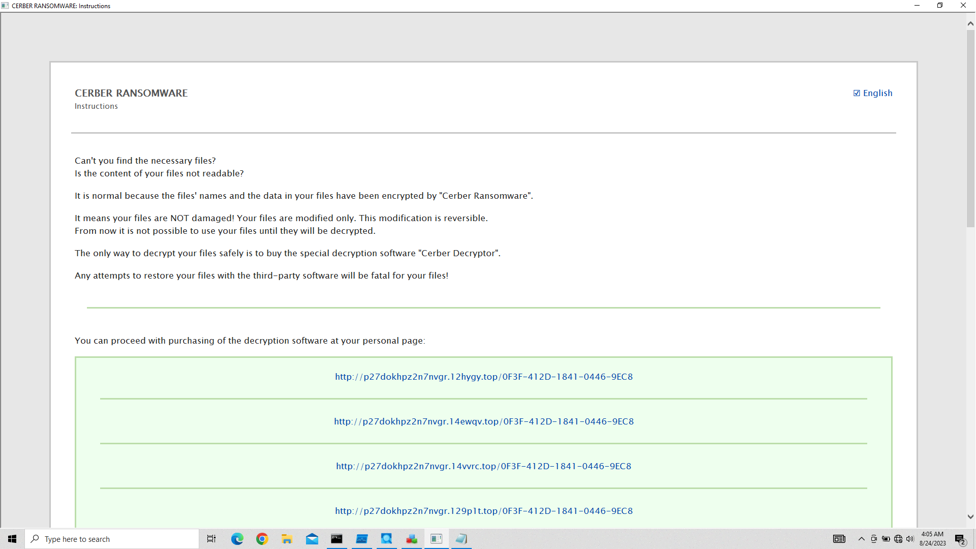 Cerber decryption payment page